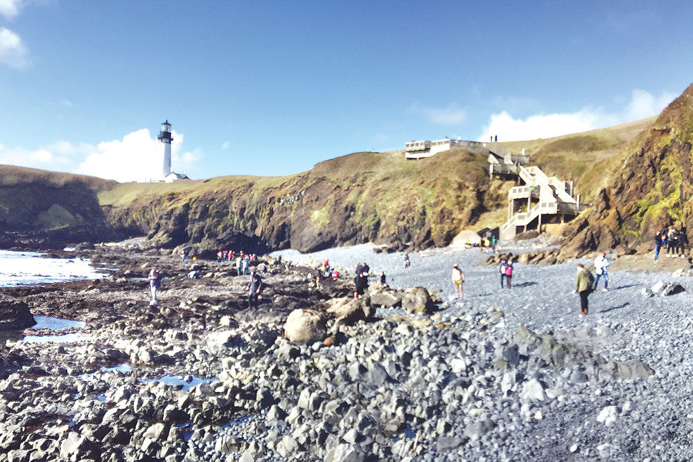 The tidepools at Yaquina Head